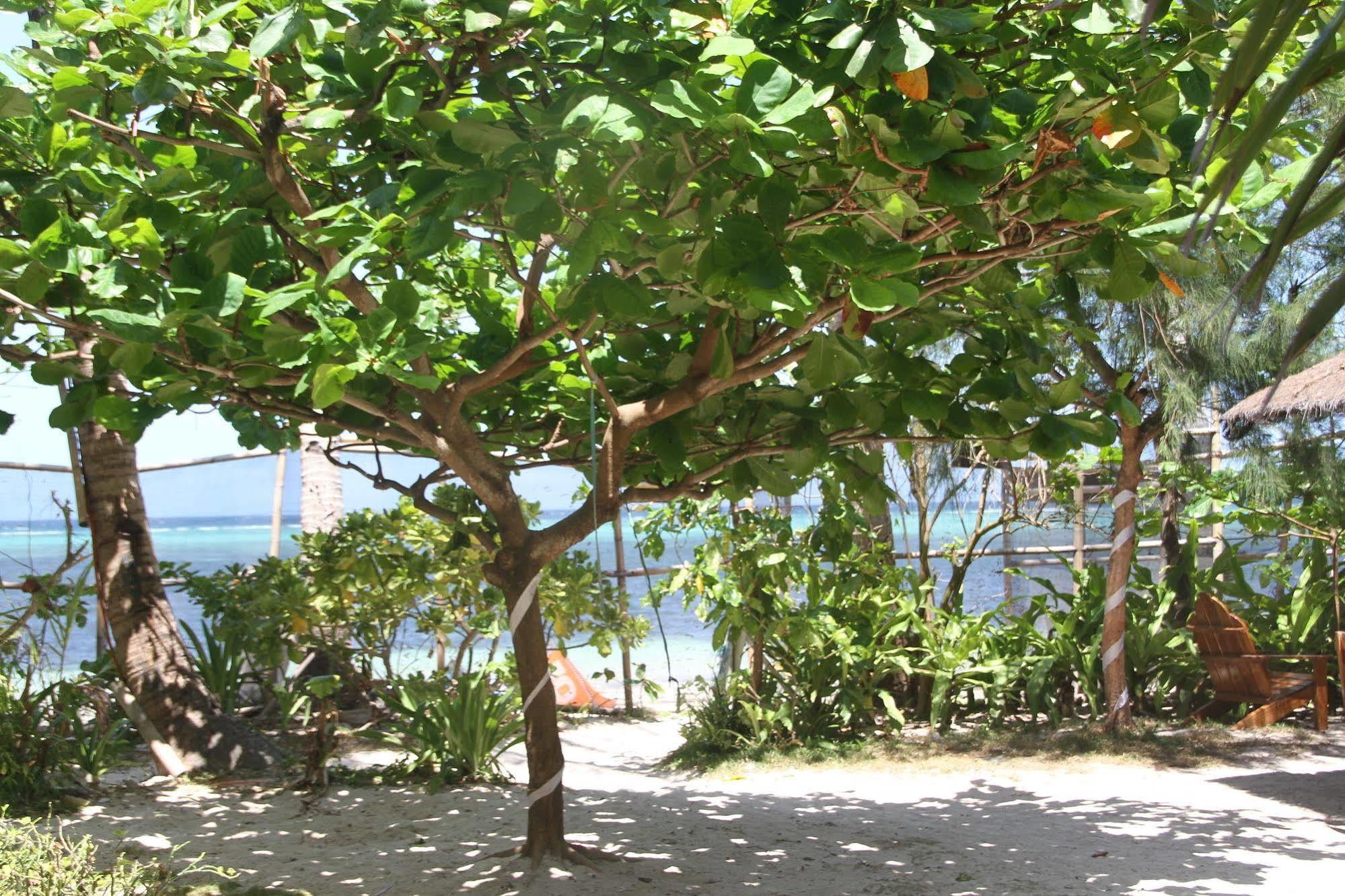 Wind Rider's Inn Balabag (Boracay)